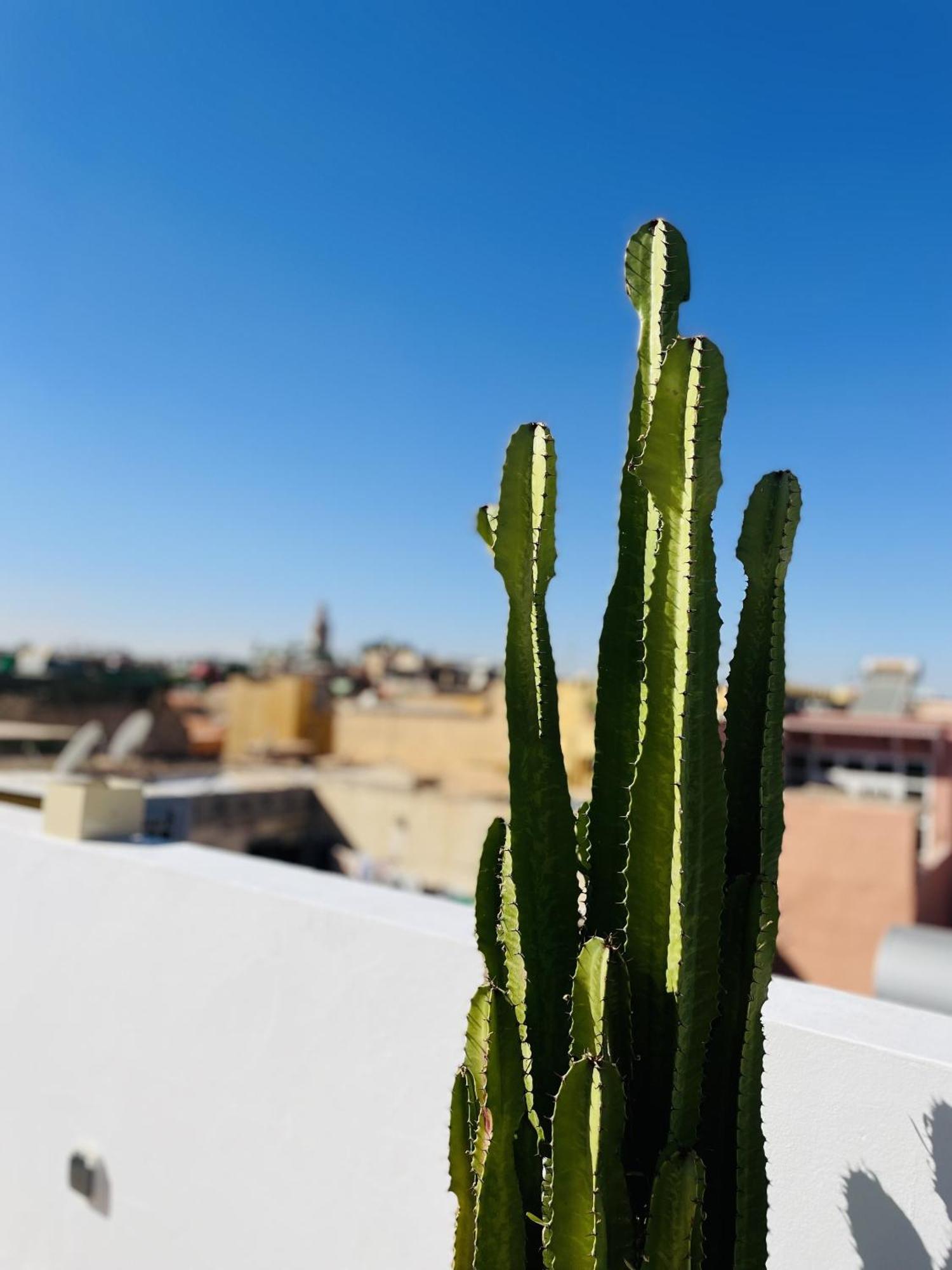 Riad Dar Bayane Марракеш Экстерьер фото